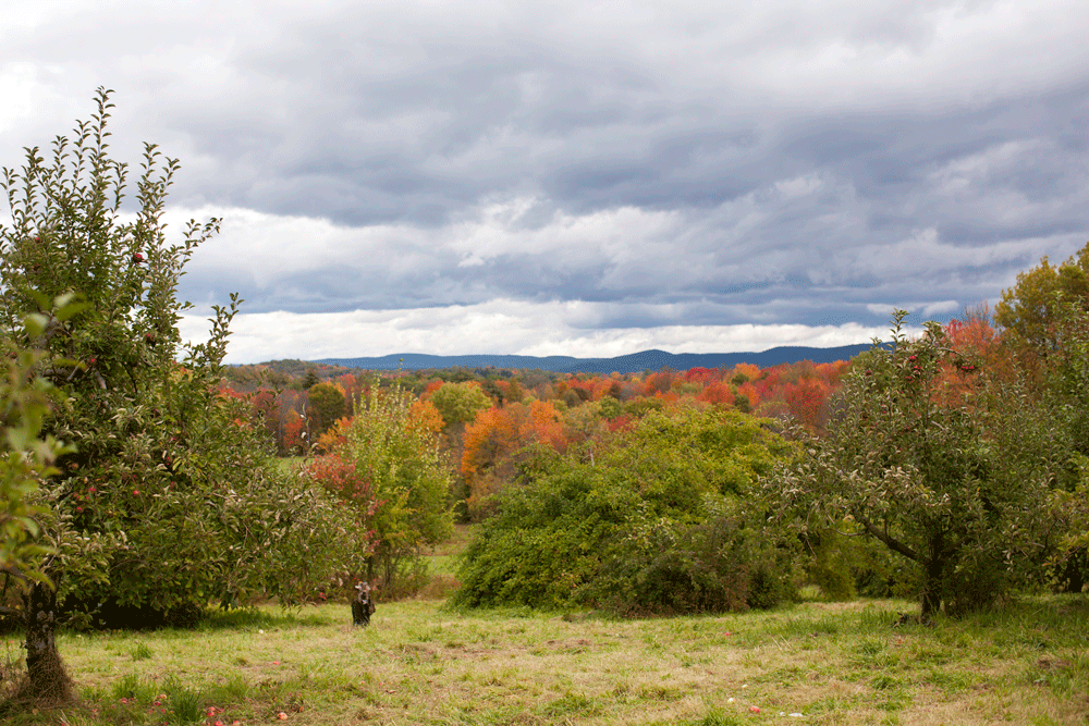 fall-landscape